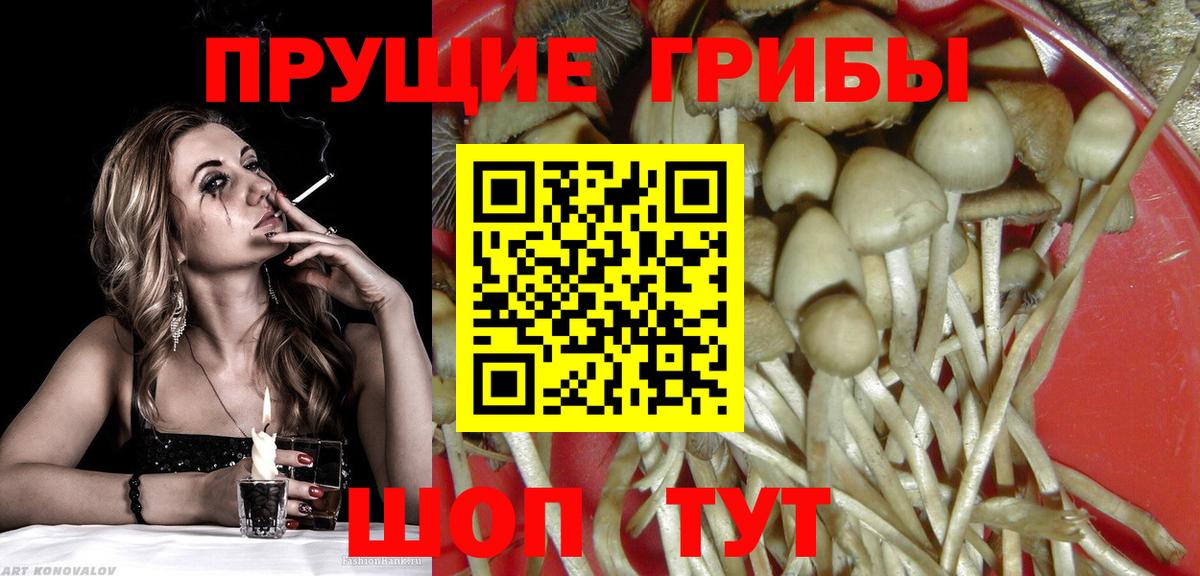Отрадный  Галлюциногенные грибы ЛСД  Вход с VPN 
